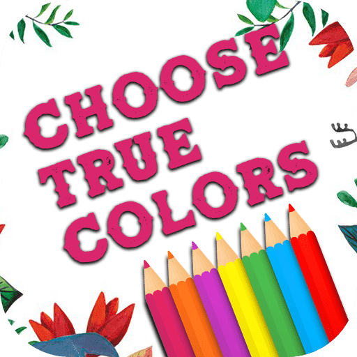 Play Choose True Colors Game on Stakeygame